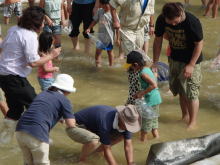 �����񍐎ʐ^