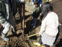 �����񍐎ʐ^