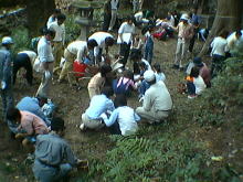 �����񍐎ʐ^