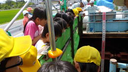 �����񍐎ʐ^