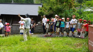 �����񍐎ʐ^