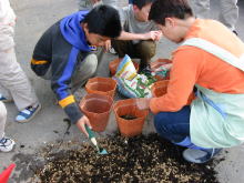 �����񍐎ʐ^