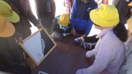 �����񍐎ʐ^