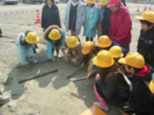 �����񍐎ʐ^