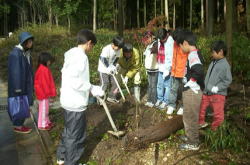 �����񍐎ʐ^