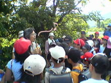 �����񍐎ʐ^