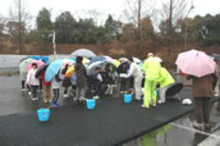 �����񍐎ʐ^