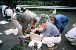 �����񍐎ʐ^