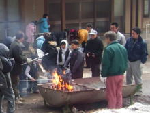 �����񍐎ʐ^