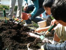 �����񍐎ʐ^